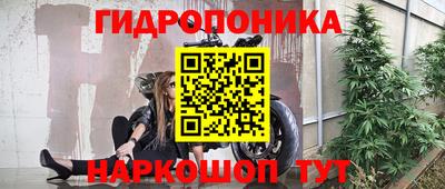мяу мяу мука Бугуруслан