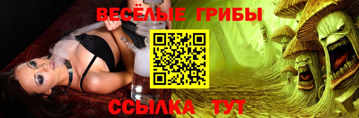 Псилоцибиновые грибы Psilocybine cubensis  Псилоцибиновые грибы прущие грибы  Вход с VPN  Сатка 